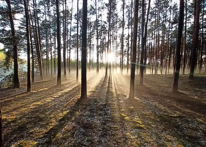 Chata Letniskowe - Grill Klimatyzacja Wifi Monitoring *