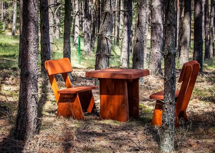 Letniskowe - Grill Klimatyzacja Wifi Monitoring Chata Swornegacie