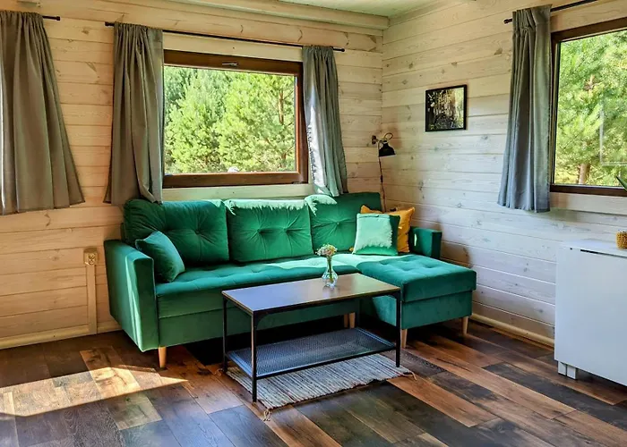 Letniskowe - Grill Klimatyzacja Wifi Monitoring Swornegacie